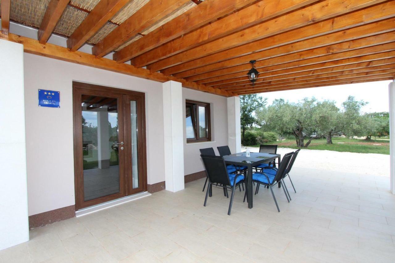 House Cuvi *